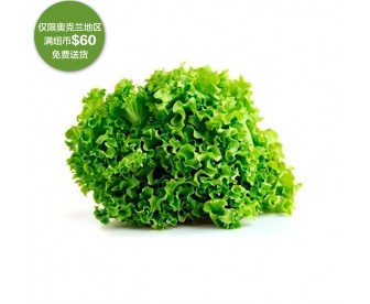 【疫情蔬果专区】沙拉生菜 200克【请单独下单,不要和其它专区商品混搭】 【疫情蔬果专区】沙拉生菜 200克【请单独下单,不要和其它专区商品混搭】
